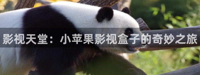 理論電影神馬影院