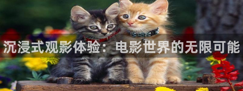 奇優影院手機理論片重慶