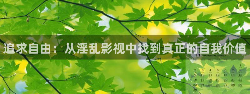 能播放的理論大片