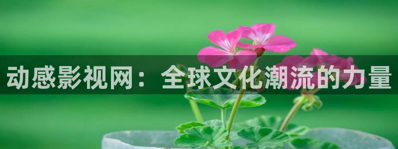 國產理論免費影院：動感影視網：全球文化潮流的力量