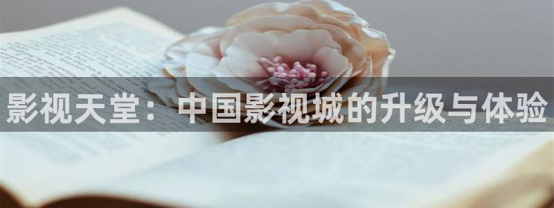 手機在線電影理論