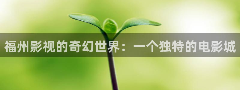 神馬影院電影dy888午夜理論不卡
